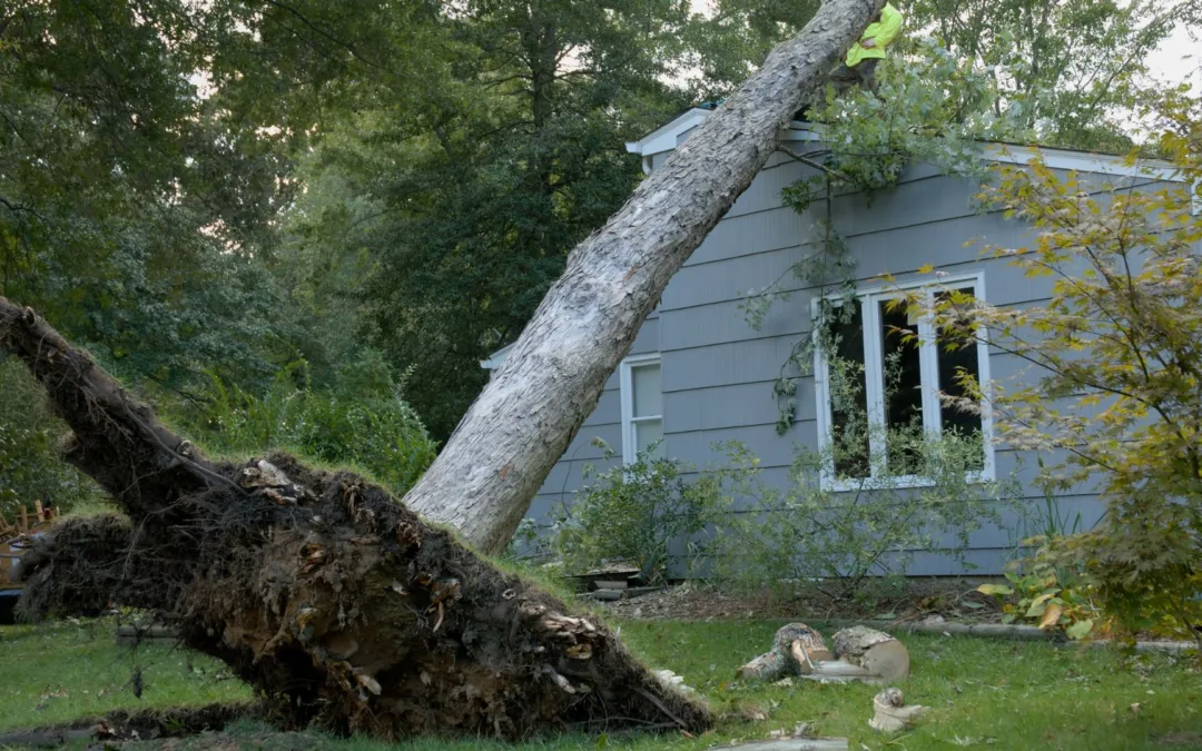 The Tortured Homeowners Department